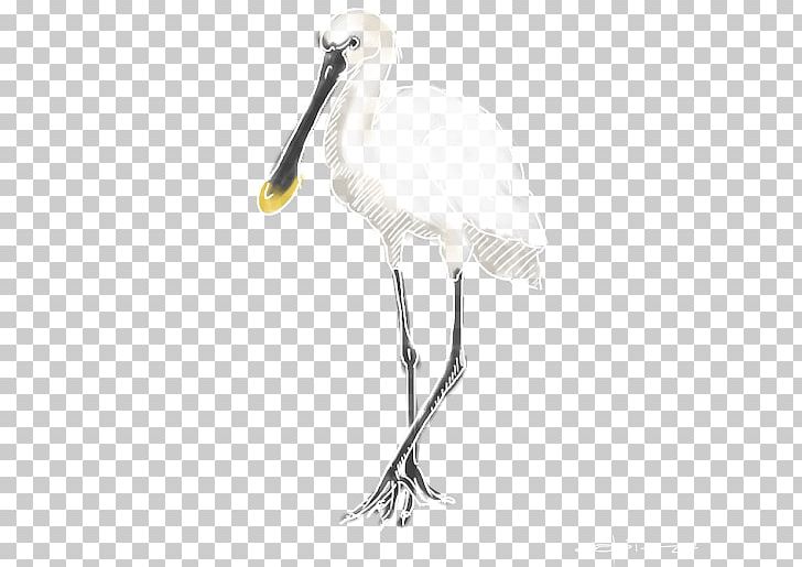 Stork Spoonbills Bird Eurasian Spoonbill Beak PNG, Clipart, Beak, Bird, Cesar Millan, Ciconiiformes, Crane Like Bird Free PNG Download