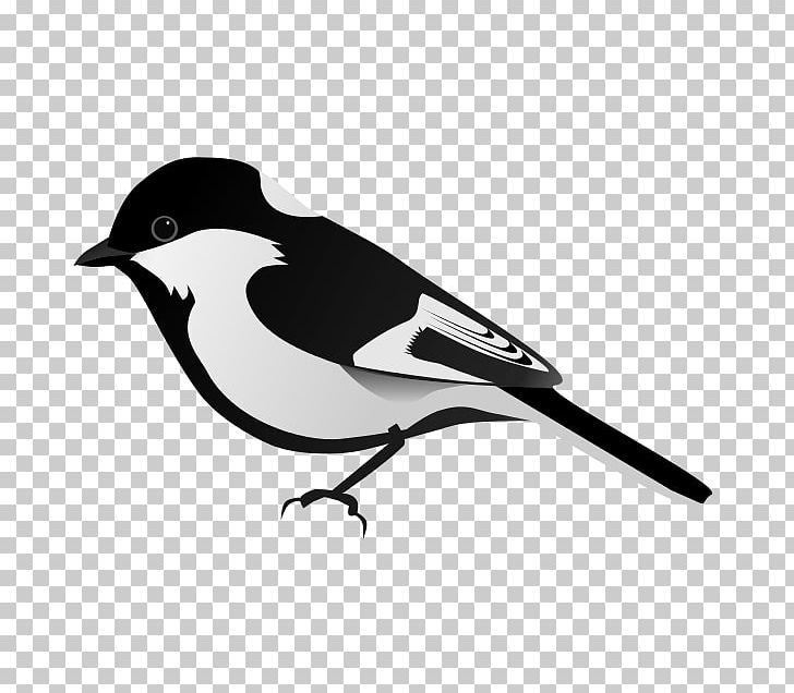 American Sparrows Eurasian Magpie Beak White PNG, Clipart, Albert Camus, American Sparrows, Beak, Bird, Black And White Free PNG Download