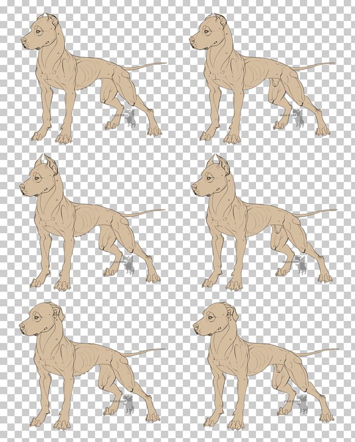 Dog Breed Italian Greyhound Whippet Sloughi Spanish Greyhound PNG, Clipart, American Pit Bull Terrier, Animal Figure, Art, Big Cats, Breed Free PNG Download