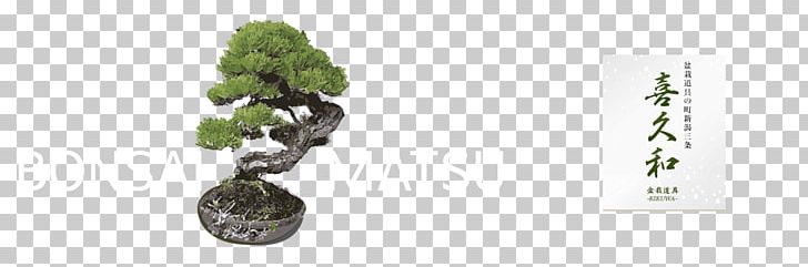 Flowerpot Branching PNG, Clipart, Branch, Branching, Flowerpot, Plant, Tree Free PNG Download