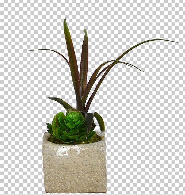Flowerpot Houseplant Plant Stem Aloe Vera PNG, Clipart, Aloe, Aloe Vera, Cash, Flower, Flowerpot Free PNG Download