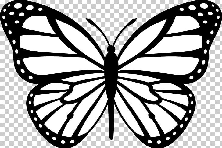 Monarch Butterfly Insect Outline PNG, Clipart, Animal, Area, Arthropod, Bicycle Wheel, Brush Footed Butterfly Free PNG Download