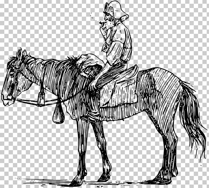 Mule Horse Equestrian PNG, Clipart, Animals, Art, Cowboy, Fictional Character, Horse Free PNG Download
