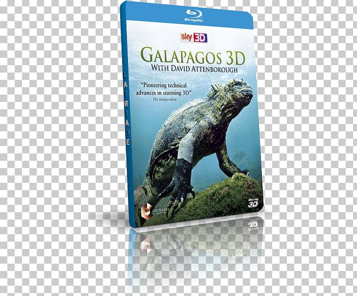 Reptile Galápagos Islands Fauna Ecosystem DVD PNG, Clipart, Bandwidth, Bbcode, David Attenborough, Dvd, Ecosystem Free PNG Download