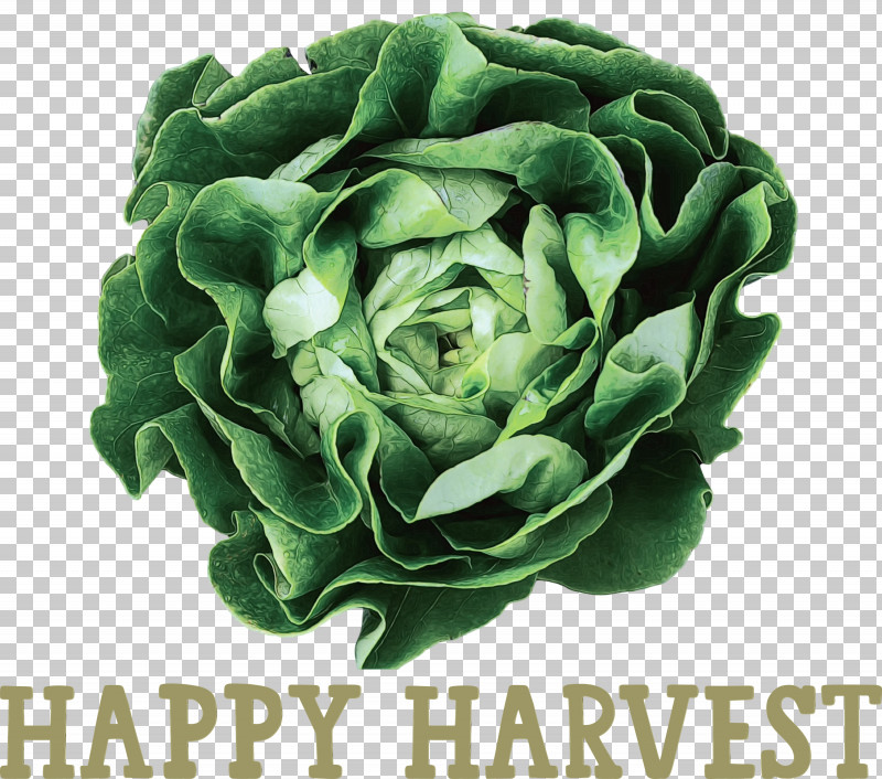 Salad PNG, Clipart, Dessert, Farm, Fruit, Fruit Art, Happy Harvest Free PNG Download