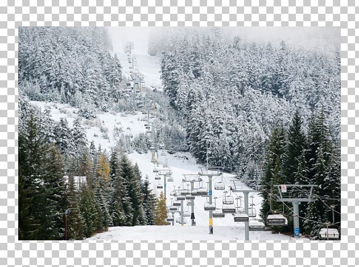 Alps Glacial Landform Snow Glacier Hill Station PNG, Clipart, Alps, Blizzard, Clock Tower, Conifer, Dagens Nyheter Free PNG Download