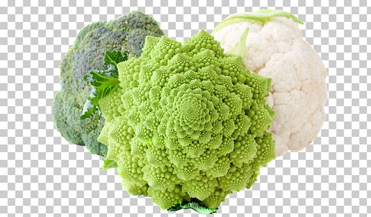 Cauliflower Broccoli Chou Capitata Group Vegetable PNG, Clipart, After, Brassica Oleracea, Broccoflower, Broccoli, Cabbage Free PNG Download