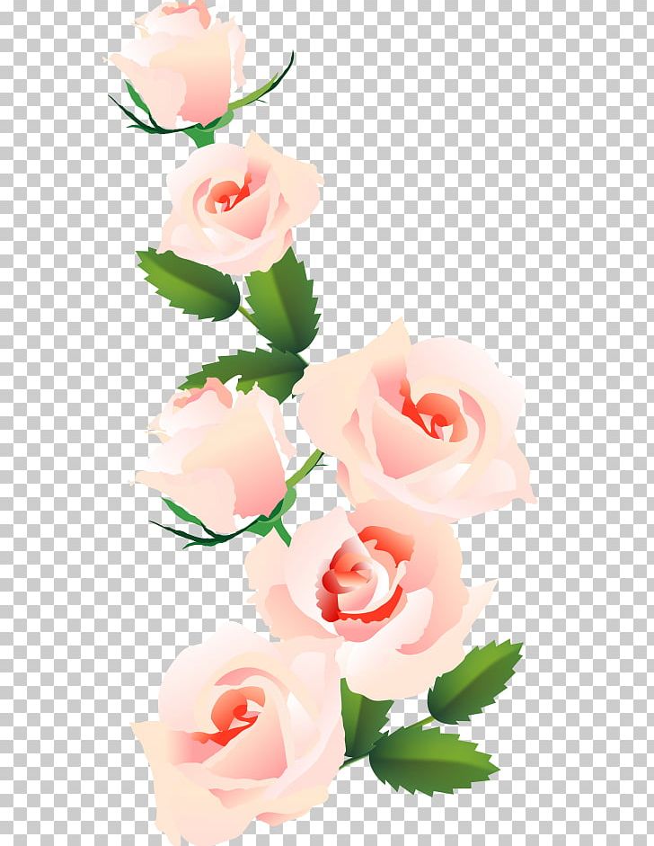 Garden Roses Cabbage Rose Floral Design Cut Flowers PNG, Clipart, Beauty, Computer, Computer Wallpaper, Cut Flowers, Desktop Wallpaper Free PNG Download