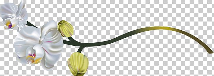 Moth Orchids Flower Leaf PNG, Clipart, Abscission, Animal Figure, Artificial Flower, Body Jewelry, Cut Flowers Free PNG Download