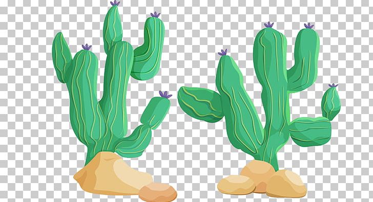 Pilosocereus Stock Photography Illustration PNG, Clipart, Cactaceae, Cactus, Drawing, Flowering Plant, Flowers Free PNG Download