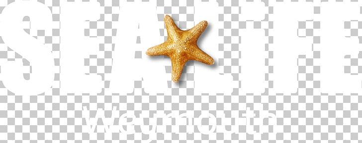 Starfish Body Jewellery PNG, Clipart, Animals, Body Jewellery, Body Jewelry, Echinoderm, Invertebrate Free PNG Download