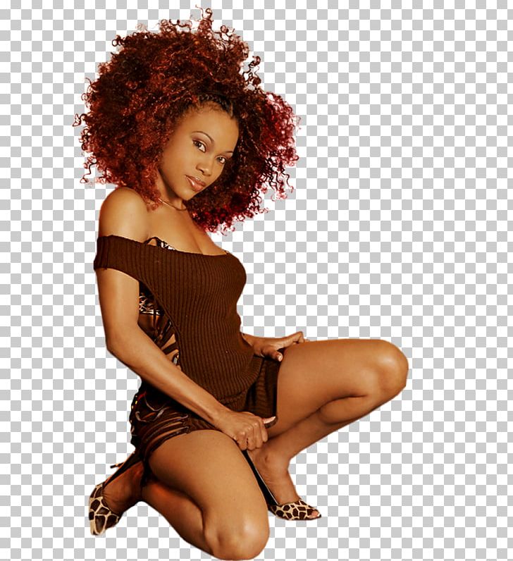 Woman Brown Hair Black Hair Female Girl PNG, Clipart, Afro, Black Hair, Blond, Brad Pitt, Brown Hair Free PNG Download