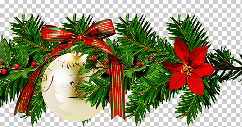 Christmas Ornament PNG, Clipart, Branch, Christmas, Christmas Decoration, Christmas Eve, Christmas Ornament Free PNG Download