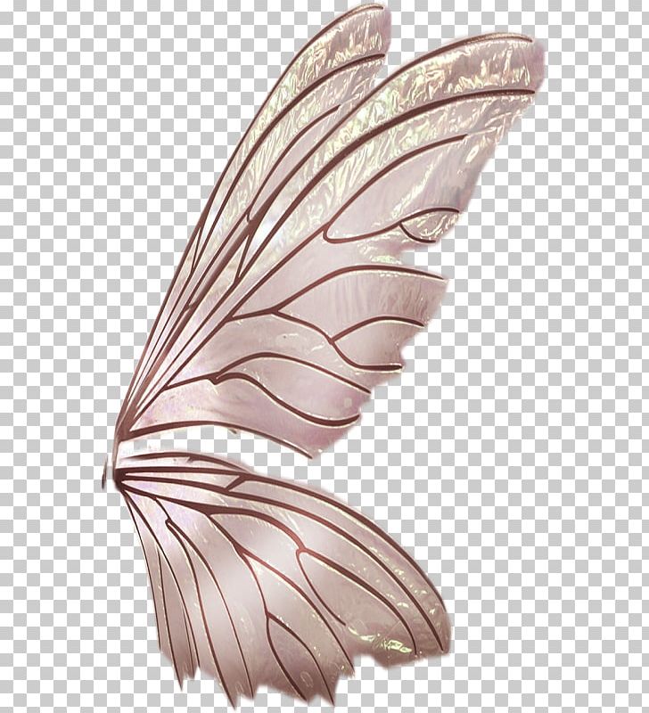 Butterfly Wing Pollinator Feather Pterygota PNG, Clipart, Beak, Butterflies And Moths, Butterfly, Feather, Insect Free PNG Download