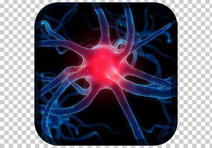 Nervous System Nerve Neurology Neuron Parkinson's Disease PNG, Clipart,  Free PNG Download