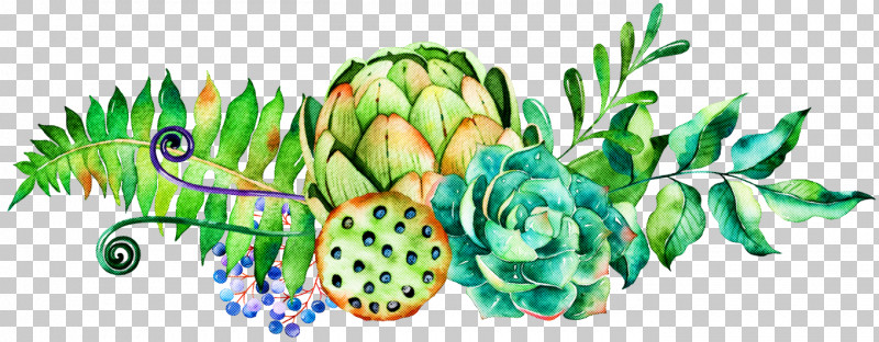 Plant Artichoke Flower Stonecrop Family Fruit PNG, Clipart, Artichoke, Flower, Fruit, Plant, Stonecrop Family Free PNG Download