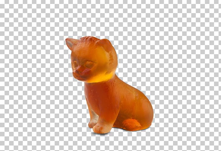 Cat Kitten Dog Canidae Snout PNG, Clipart, Amber, Animals, Canidae, Carnivoran, Cat Free PNG Download
