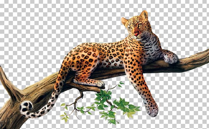 Leopard PNG, Clipart, Leopard Free PNG Download