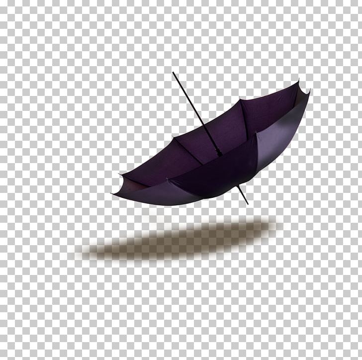 Photographic Film Purple PNG, Clipart, Beach Umbrella, Blog, Computer Icons, Leaf, Miscellaneous Free PNG Download