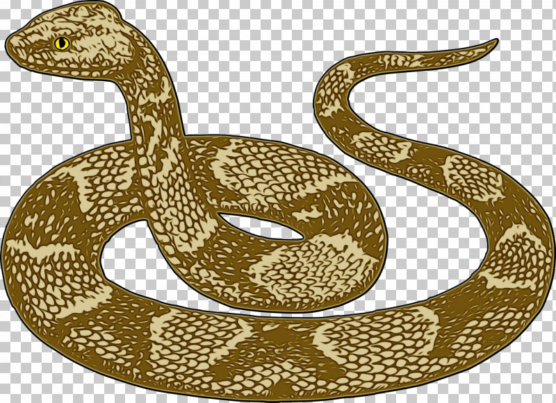 Snake Serpent Reptile Scaled Reptile Viper PNG, Clipart, Boa, Bullsnake, Paint, Python, Rattlesnake Free PNG Download
