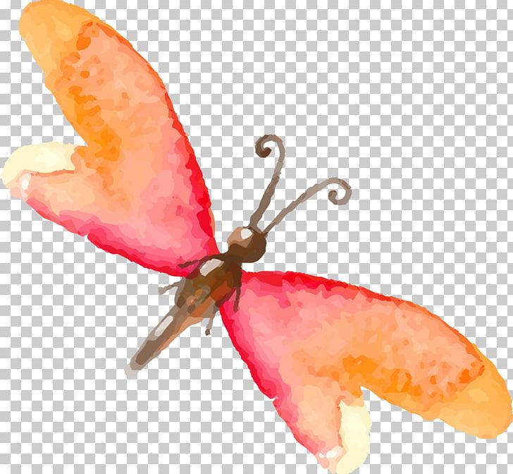Butterfly Insect Watercolor Painting Drawing PNG, Clipart, Animals, Beautiful, Butterflies And Moths, Color, Colorful Butterfly Free PNG Download