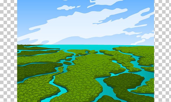 Everglades Pantanal Wetland Ecology PNG, Clipart, Airboat, Bedroom, Biome, Cattail, Computer Wallpaper Free PNG Download