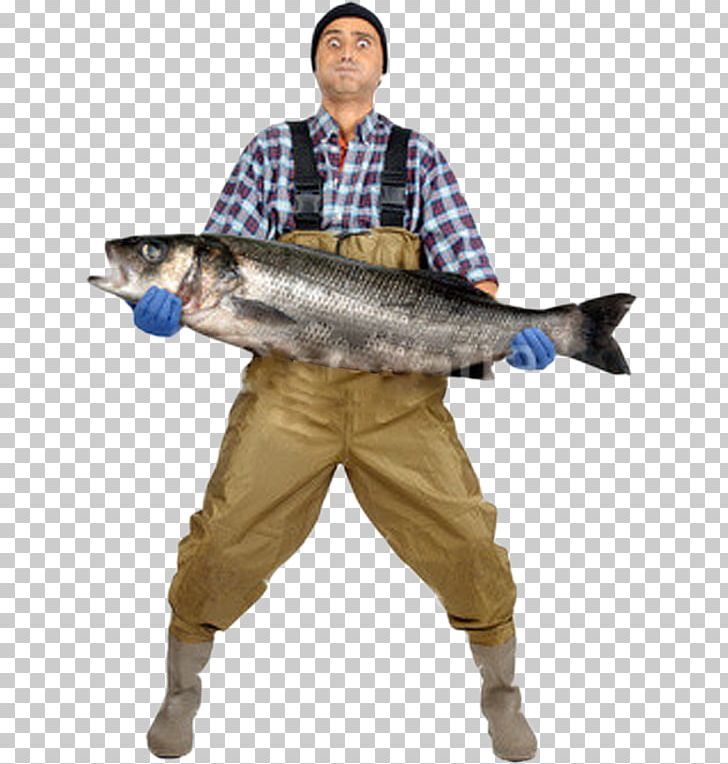 Fishing Fisherman Stock Photography Fishery PNG, Clipart, Bass, Carp,  Catch, Depositphotos, Fish Free PNG Download