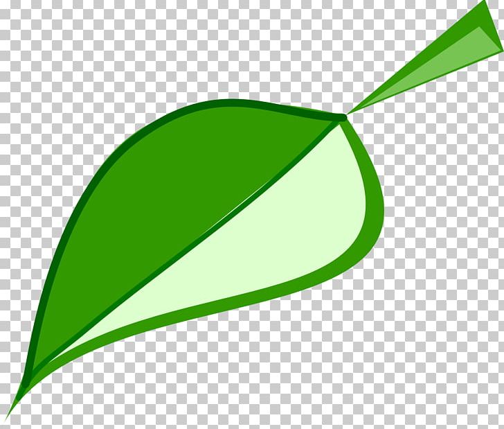 Leaf Green PNG, Clipart, Angle, Computer Icons, Drawing, Ecology, Fern Free PNG Download