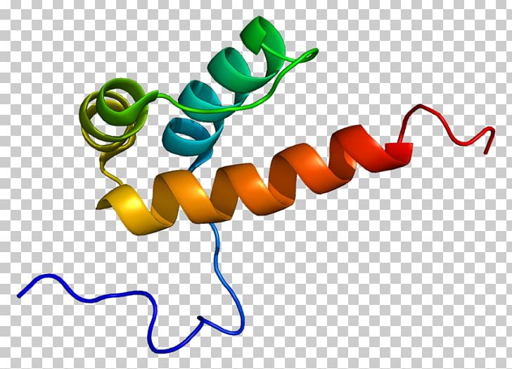 PKNOX1 Protein Data Bank Protein–protein Interaction Gene PNG, Clipart, Area, Artwork, Gene, Gene Expression, Homeobox Free PNG Download