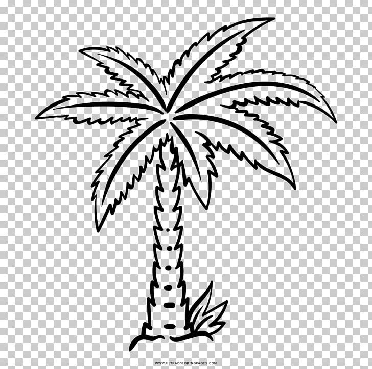 Coloring Book Drawing Ausmalbild Black And White Line Art PNG, Clipart, Area, Arecaceae, Artwork, Ausmalbild, Black And White Free PNG Download