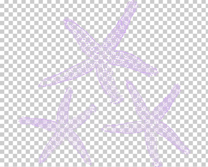 Marine Invertebrates Starfish Echinoderm Lilac PNG, Clipart, Animal, Animals, Echinoderm, Fish, Invertebrate Free PNG Download