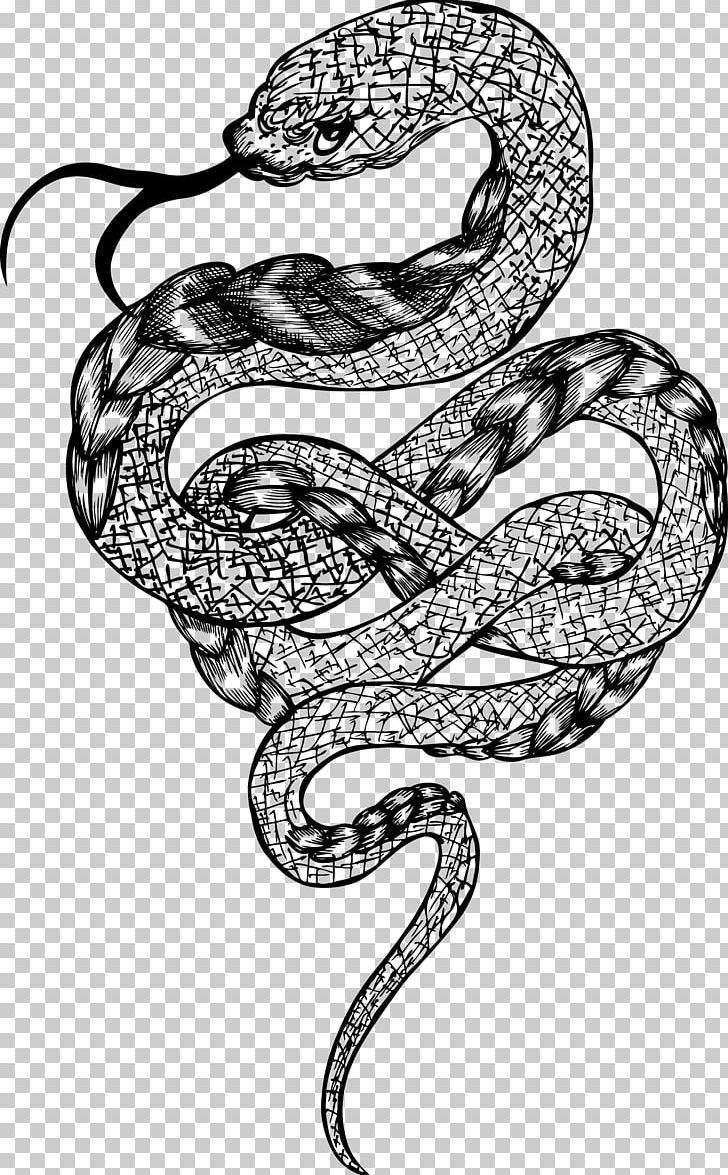 Rattlesnake Boa Constrictor PNG, Clipart, Adobe Illustrator, Animals, Art, Black And White, Boas Free PNG Download