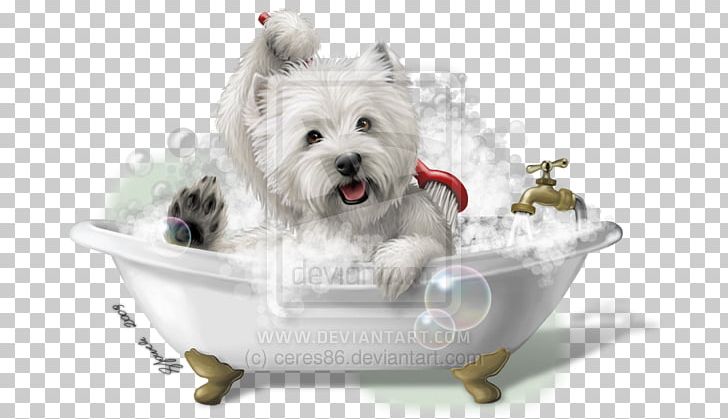 West Highland White Terrier Maltese Dog Puppy Smooth Fox Terrier Dog Breed PNG, Clipart, Animals, Breed, Carnivoran, Companion Dog, Dog Free PNG Download