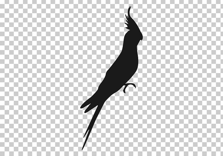 Cockatiel Macaw Bird Cockatoo PNG, Clipart, Animals, Beak, Bird, Black And White, Cockatiel Free PNG Download
