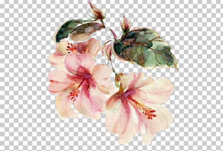 Watercolor Painting Watercolour Flowers Floral Design PNG, Clipart, Art, Artist, Blossom, Branch, Cherry Blossom Free PNG Download