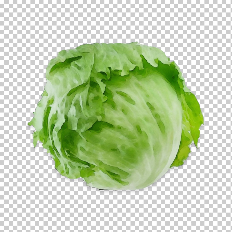 Salad PNG, Clipart, Acorn, Cabbage, Cultivated Edible Plant, Lettuce, Paint Free PNG Download