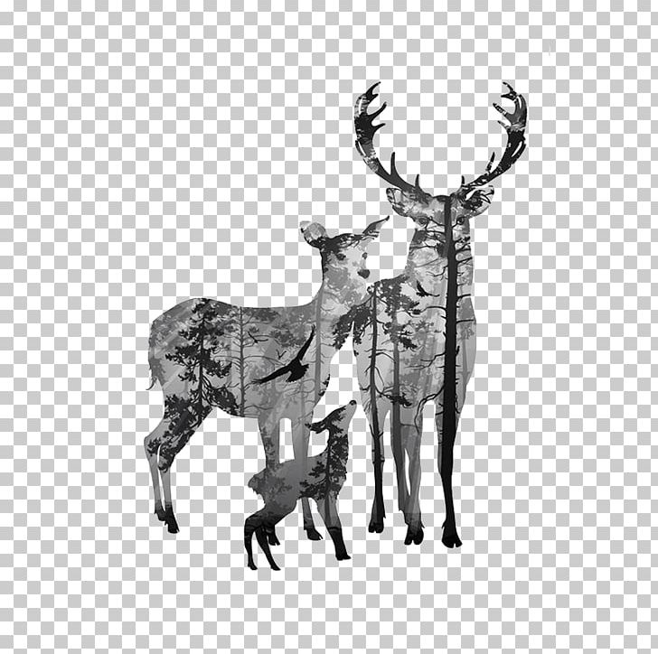 Deer Canvas Antler PNG, Clipart, Animals, Antler, Black And White, Canvas, Canvas Print Free PNG Download
