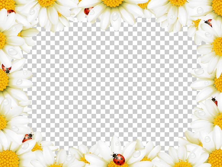Flower Frame Chamomile PNG, Clipart, Beautiful Vector, Beauty Salon, Border, Border, Border Frame Free PNG Download