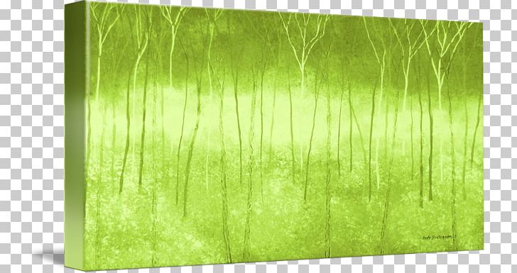 Gallery Wrap Canvas Koi Leaf Rectangle PNG, Clipart, Canvas, Gallery Wrap, Grass, Grass Family, Green Free PNG Download