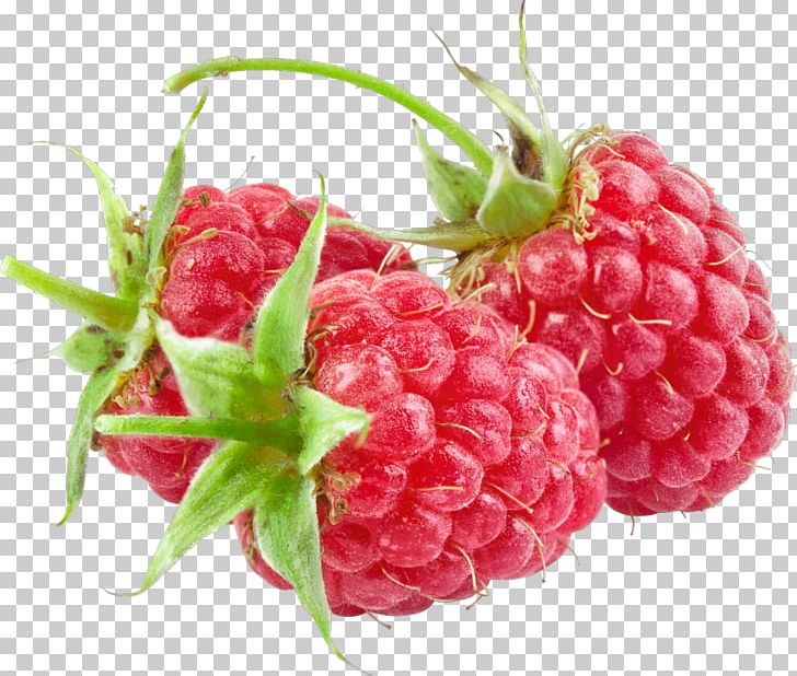 Red Raspberry Everbearing Raspberry Photography PNG, Clipart, Berry, Boysenberry, Computer Graphics, Digital Image, Everbearing Raspberry Free PNG Download