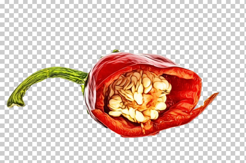 Peppers Peperoncino Cayenne Pepper Natural Food Nightshade PNG, Clipart, Bell Pepper, Cayenne Pepper, Natural Food, Nightshade, Paint Free PNG Download