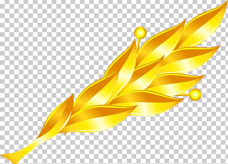 Leaf Gold Petal PNG, Clipart, Cartoon, Commodity, Computer Icons, Download, Drawing Free PNG Download