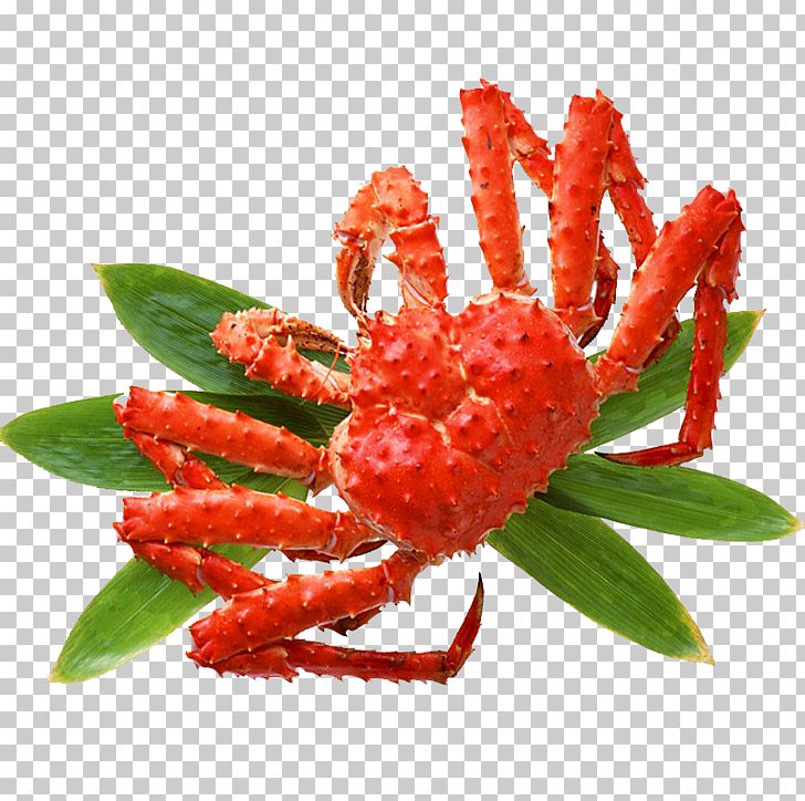 Red King Crab Seafood Chinese Mitten Crab PNG, Clipart, Animals, Animal Source Foods, Cartoon Crab, Chela, Crab Free PNG Download