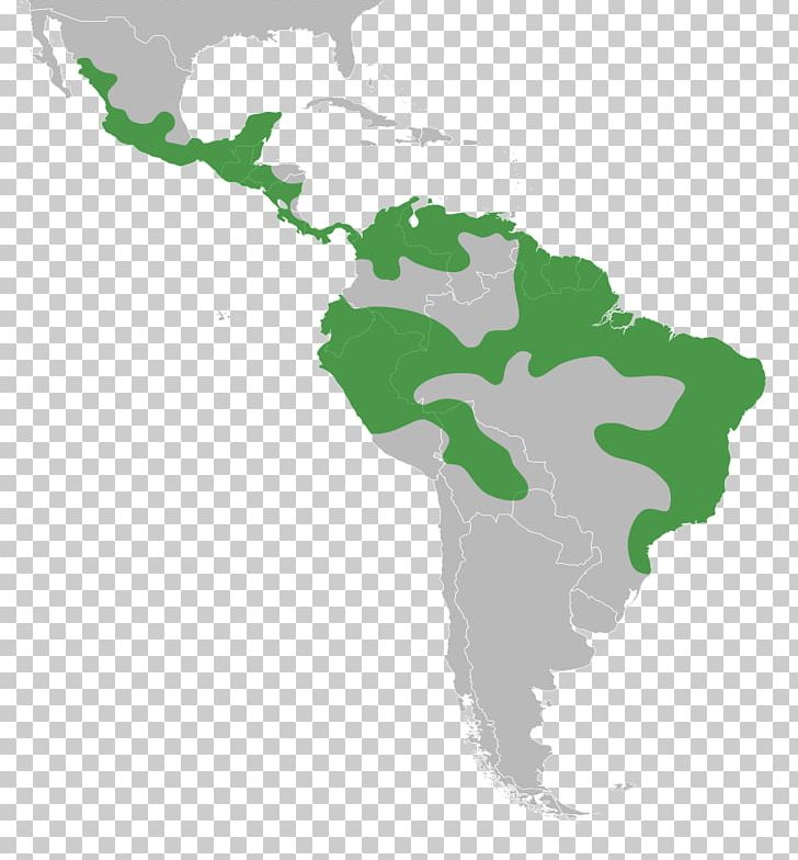 Latin America South America United States Map PNG, Clipart, Americas, Geography, Green, Latin America, Map Free PNG Download
