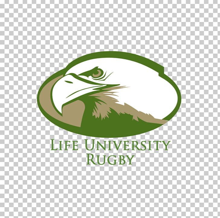 Life Running Eagles University Of Portland College University Of Massachusetts Boston PNG, Clipart, Brand, College, Collegiate University, Education, Elon Phoenix Free PNG Download