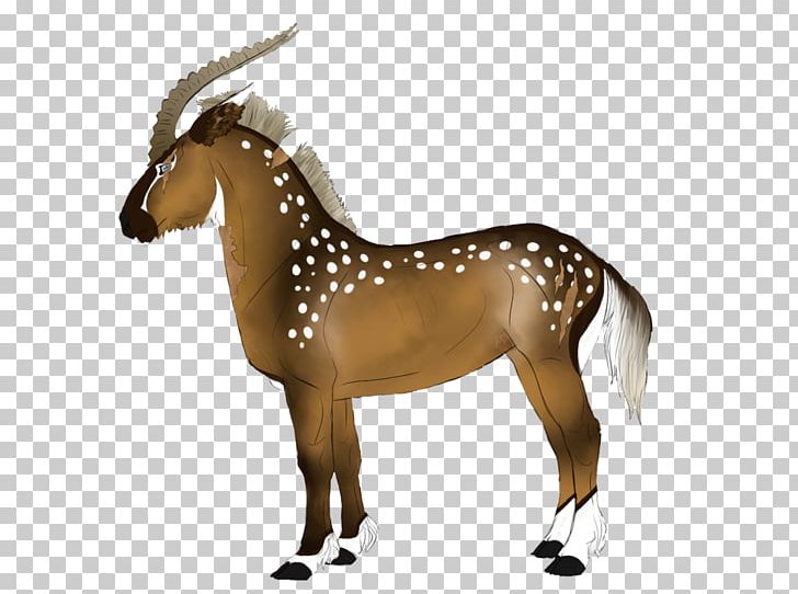Mule Mustang Foal Stallion Halter PNG, Clipart, Bridle, Doe, Dog Harness, Donkey, Foal Free PNG Download