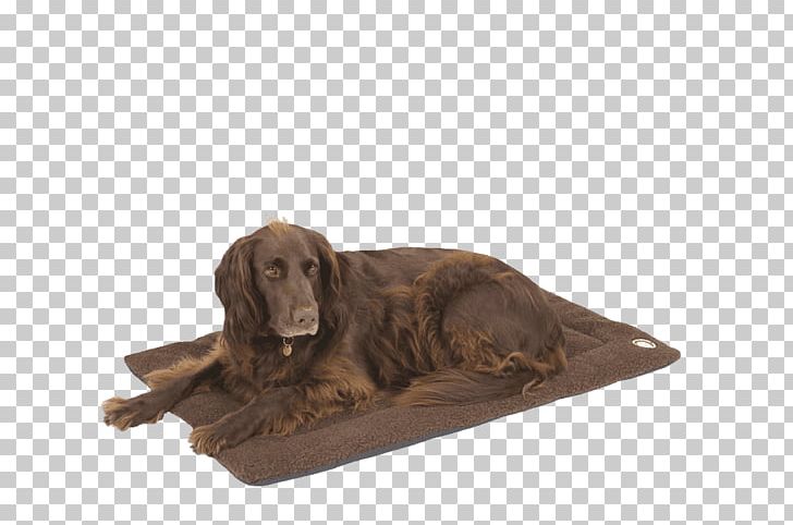 Boykin Spaniel Irish Setter Dog Breed Blanket PNG, Clipart, Bed, Blanket, Boykin Spaniel, Breed, Carnivoran Free PNG Download