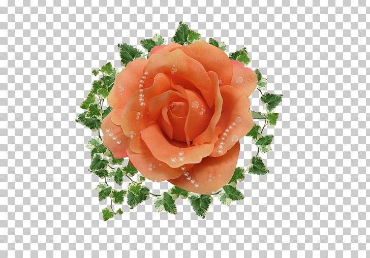 Common Ivy Bindweed PNG, Clipart, Animation, Bindweed, Common Ivy, Cut Flowers, Floribunda Free PNG Download