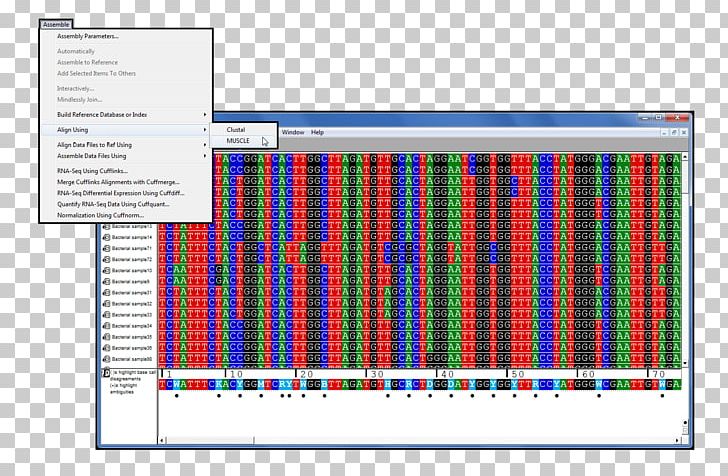 Computer Software Line PNG, Clipart, Art, Computer Software, Line, Rectangle, Sanger Sequencing Free PNG Download