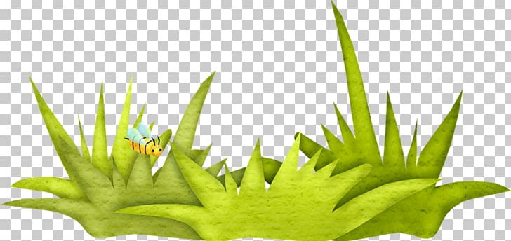 Grass Green PNG, Clipart, Aloe, Background Green, Balloon Cartoon, Boy Cartoon, Cartoon Free PNG Download